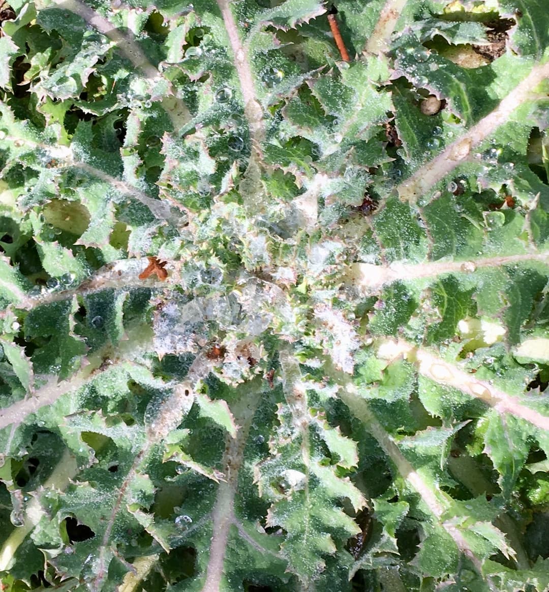 gallery-image-17