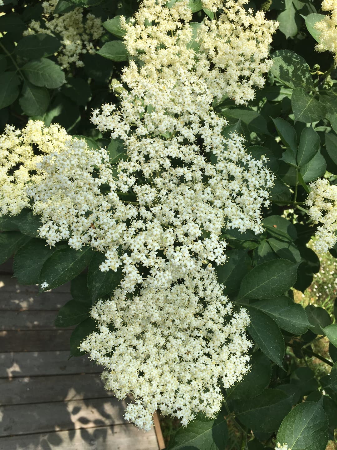 gallery-image-62