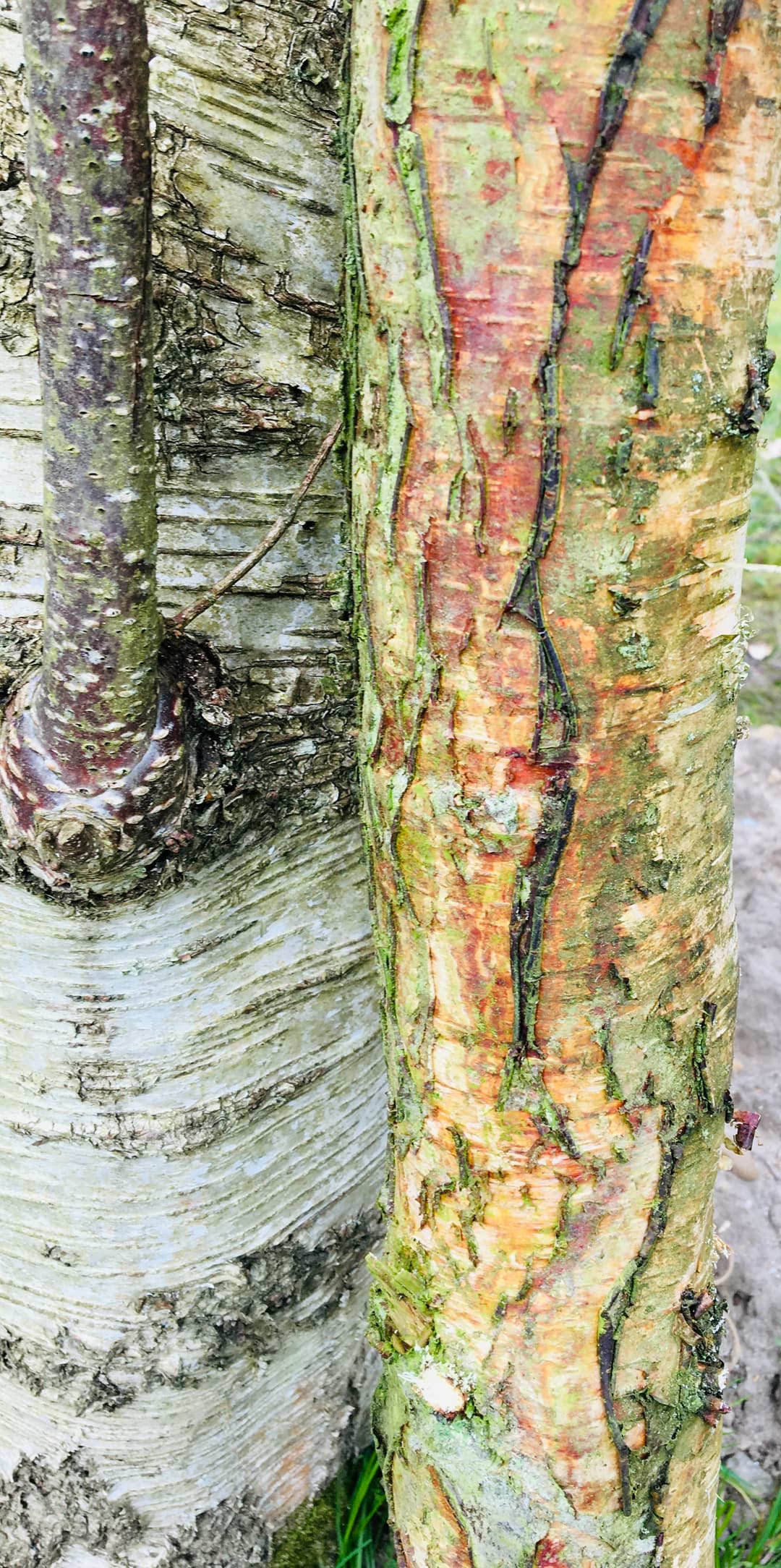 gallery-image-70