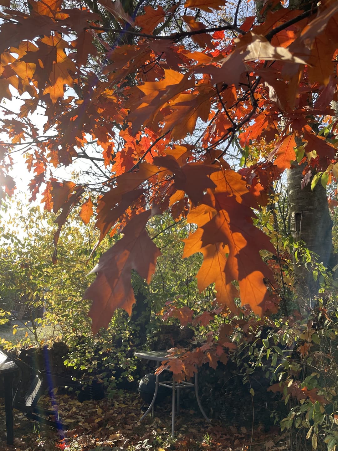 gallery-image-34