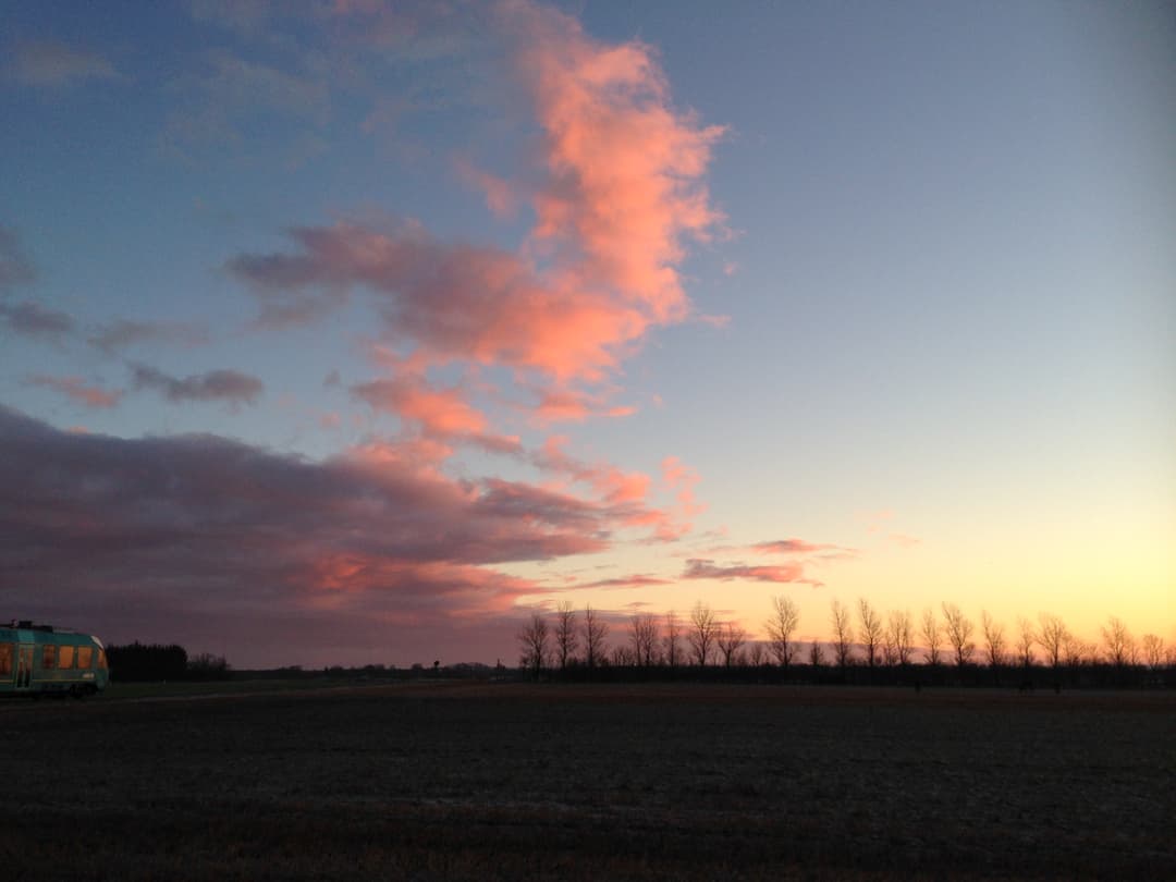 gallery-image-59