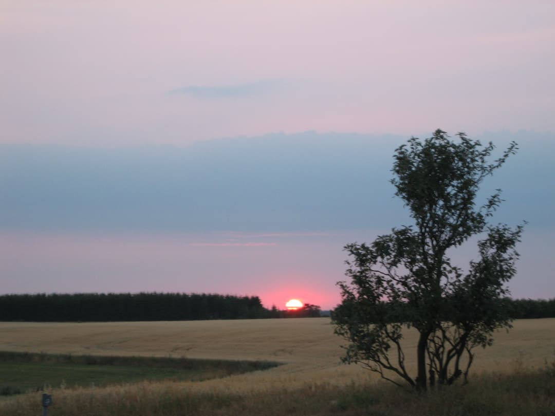 gallery-image-19