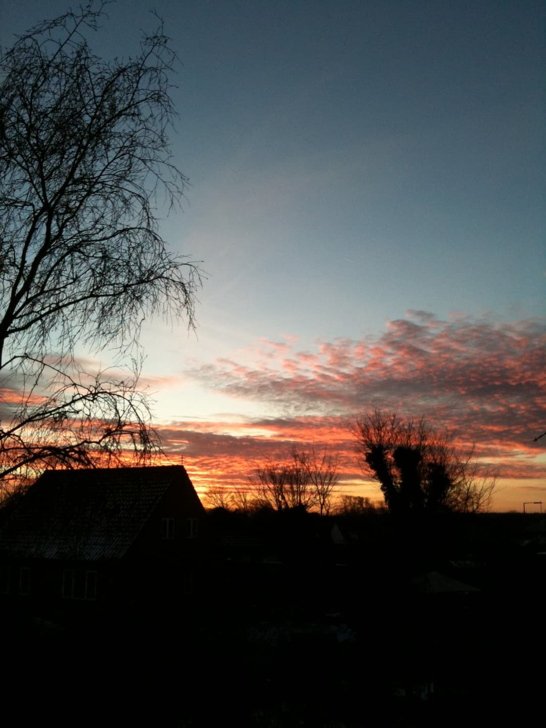 gallery-image-14