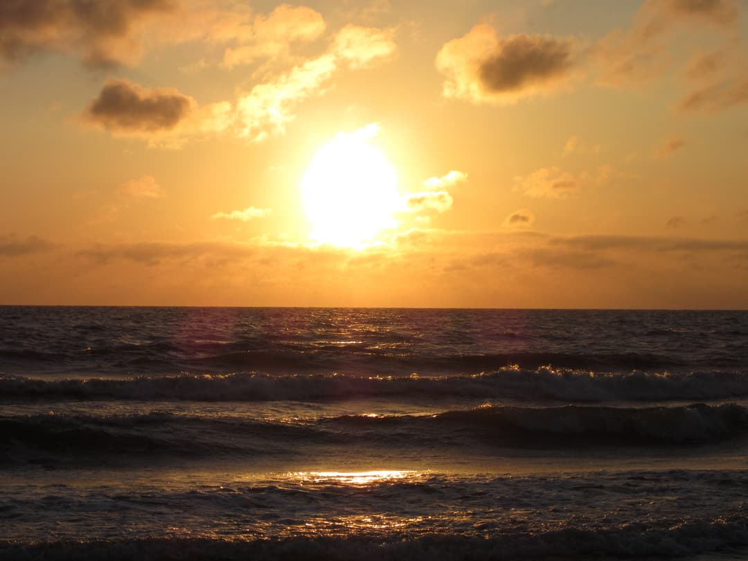 gallery-image-40