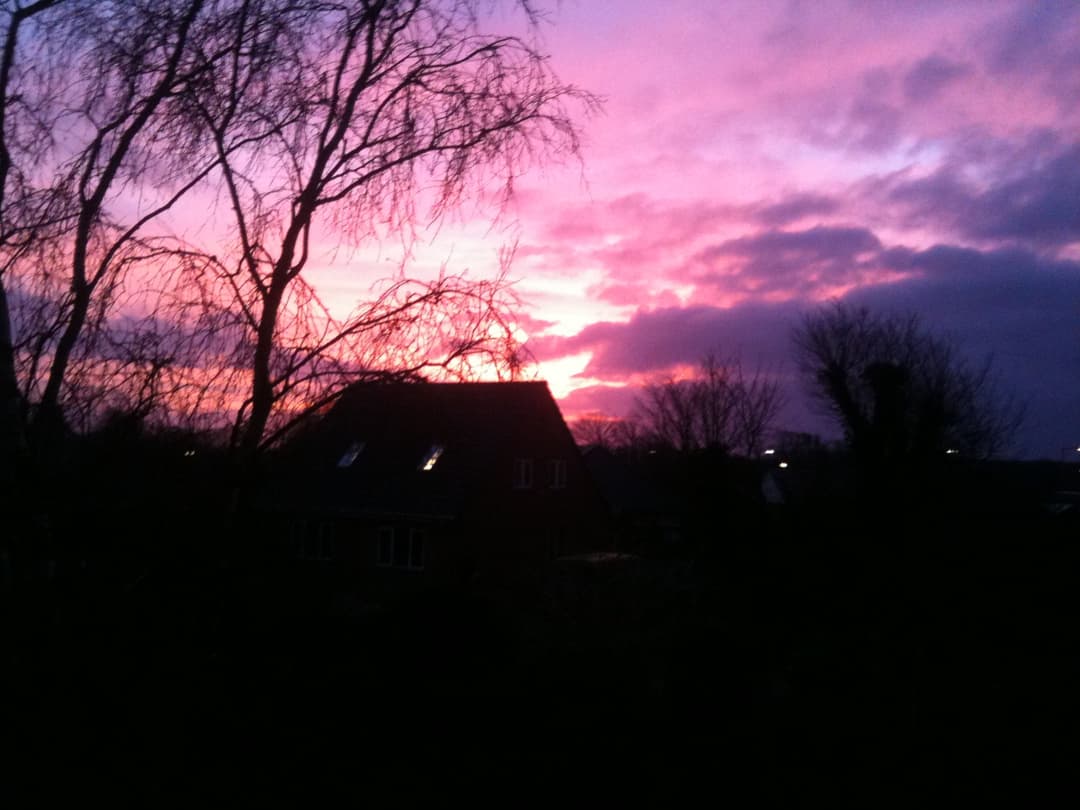 gallery-image-10